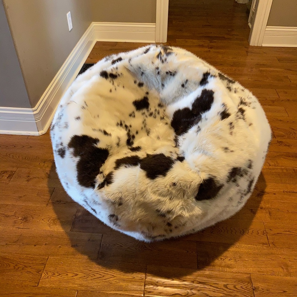 Pottery Barn Teen Pony Large Bean Bag